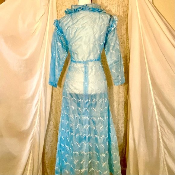 #D3. Vintage 70s Sheer Embroidered Dress - Picture 2 of 3